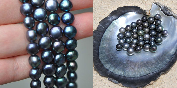 Decoding the Mystery of Black Pearls_ A Guide to Choosing the Perfect One